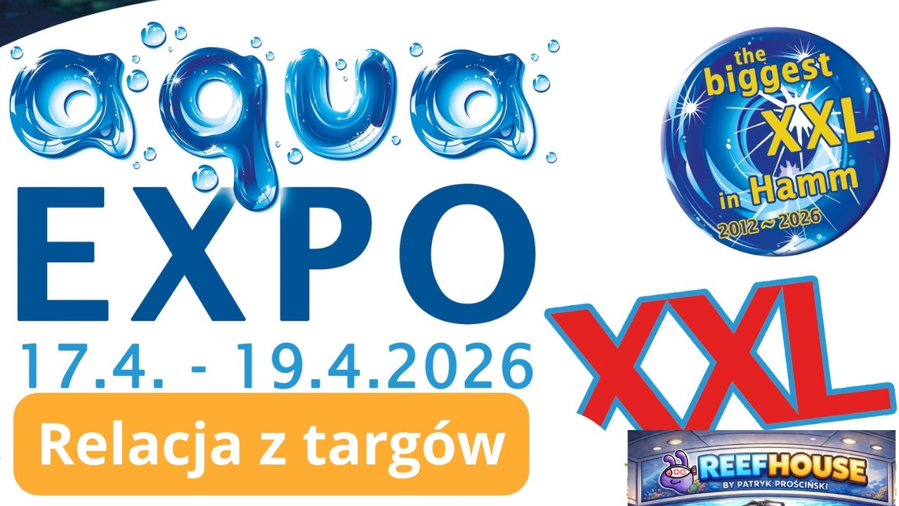 Aqua EXPO 2026 Hamm 🏠 Relacja akwarystyki morskiej 🐠