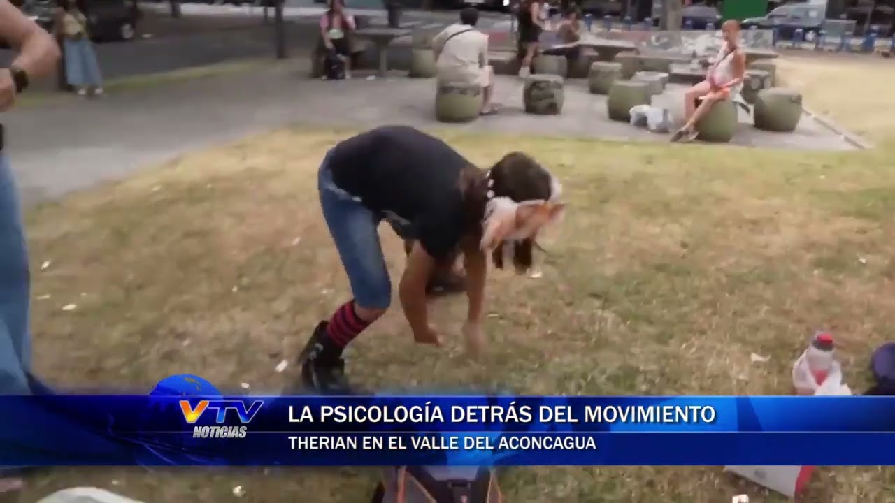 La psicología detrás del movimiento Therian en el Valle del Aconcagua