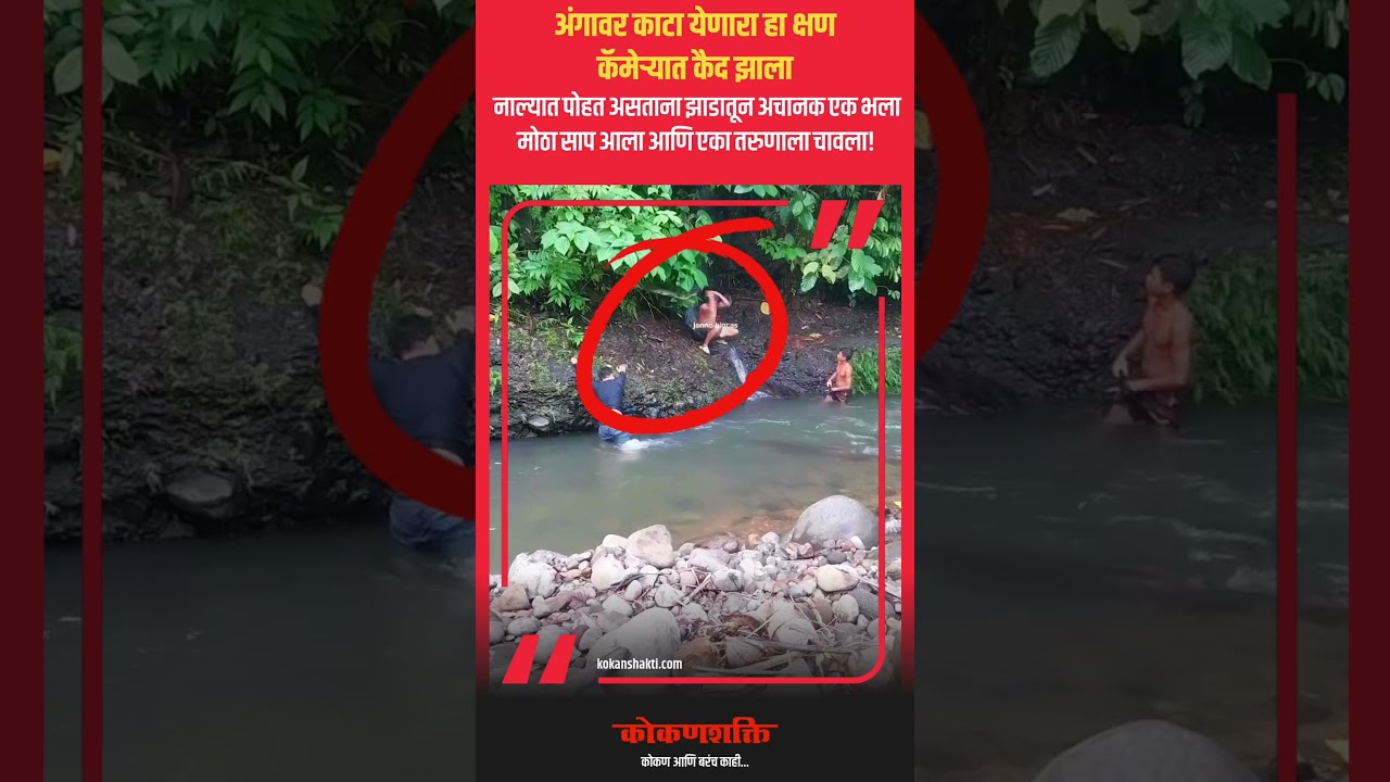 Snake Bite! #LiveAttack #shorts  #SnakeBite #RealIncident #viral #facts #waterfall