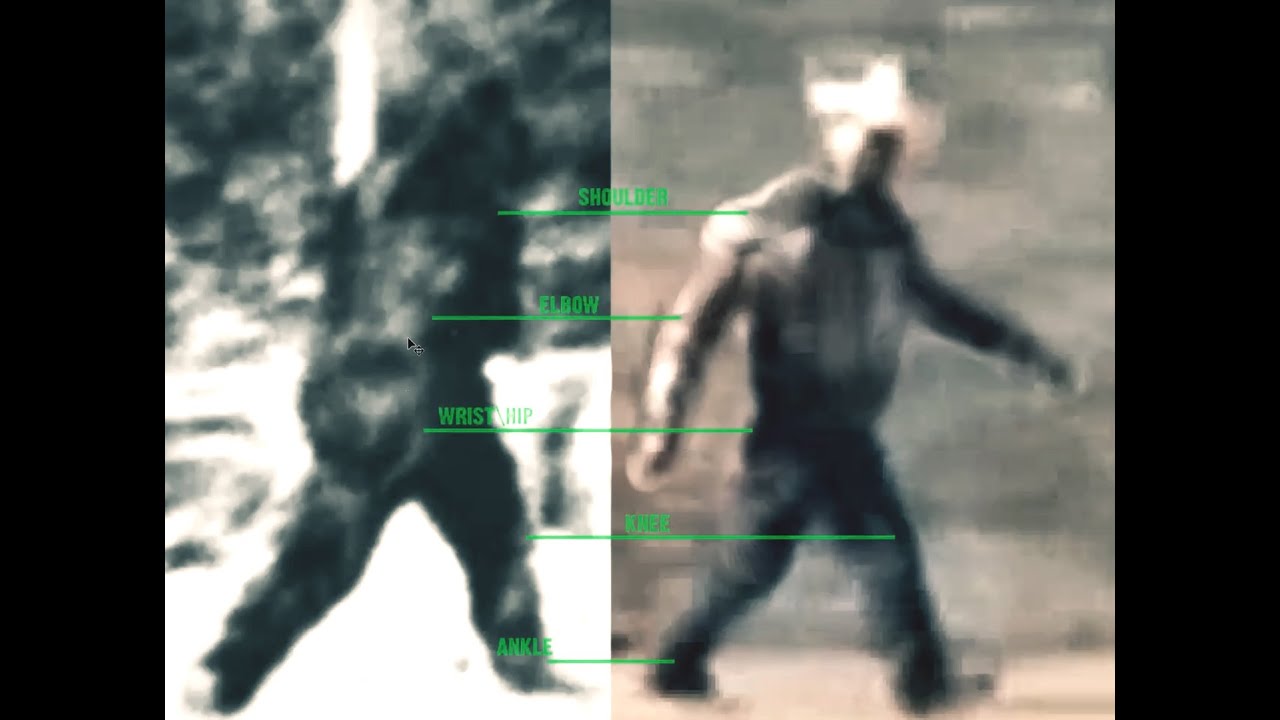 Cracking the Bigfoot Code (ThinkerThunker)