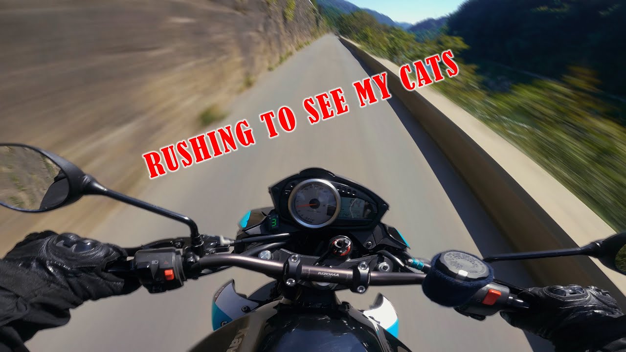 Rushing to my moms to see my cats | RAW | Z750 | ENGINE SOUND ONLY |