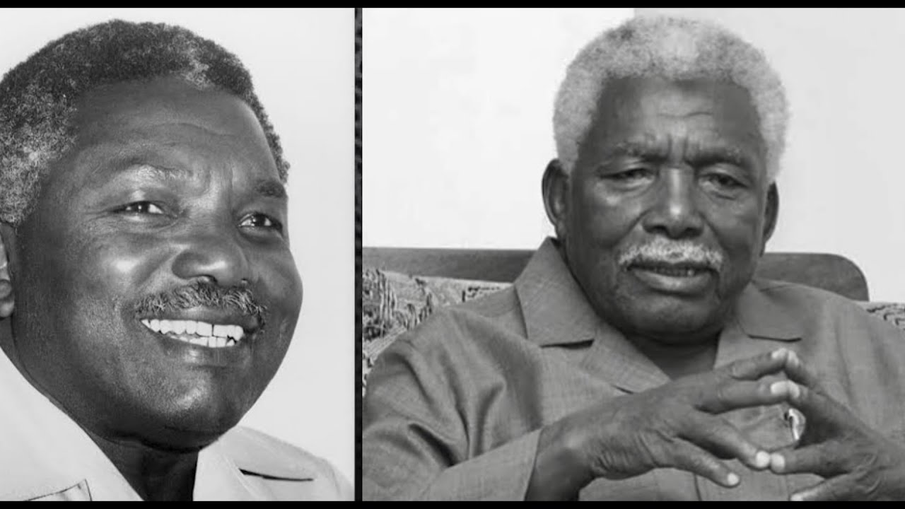HISTORIA MWINYI, RAIS PEKEE ALIYETAWALA ZNZ NA JAMHURI YA MUUNGANO TZ, ALIPOZALIWA, MKE, WATOTO