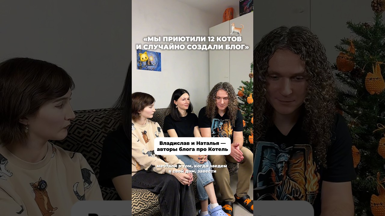 ПРИЮТИЛИ 12 КОТОВ И СЛУЧАЙНО СОЗДАЛИ БЛОГ 🐱 #коты