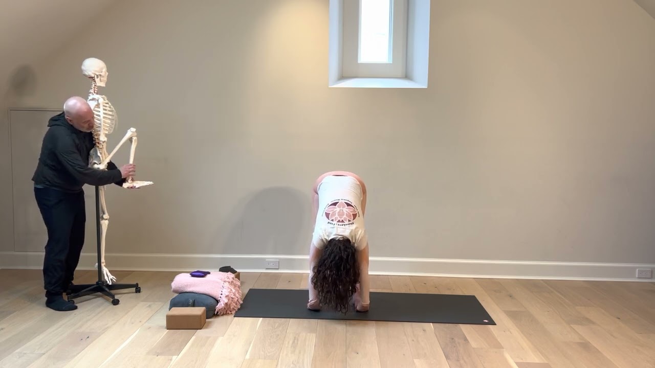 RYT 300 Coursework-Anatomy Module-Muscles for Pose #9 Chicken Pose (Murgasana)-Yoga Teacher Training