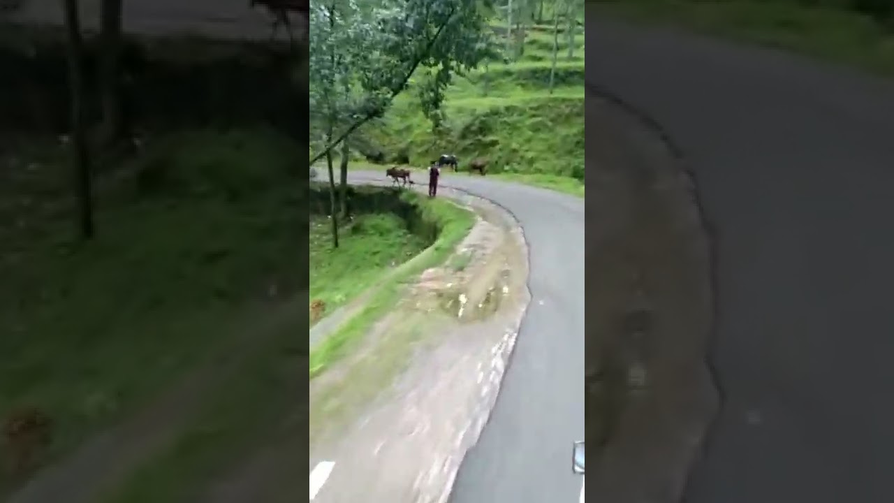 Tarnawai Abbottabad
