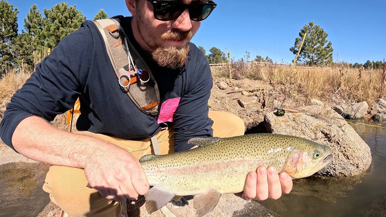 Latest adventures Fly Fishing in Colorado