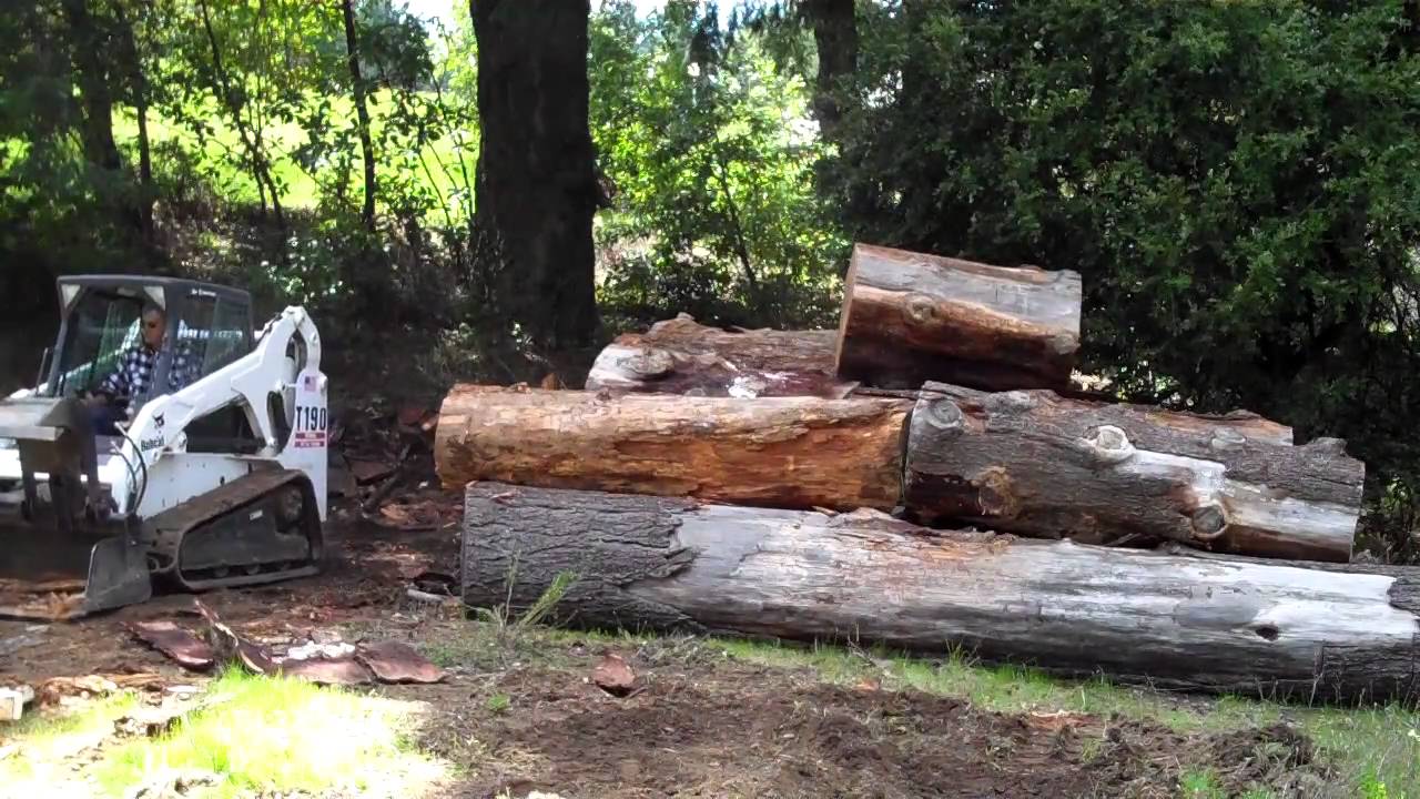 Demo-Dozer bucket with logs