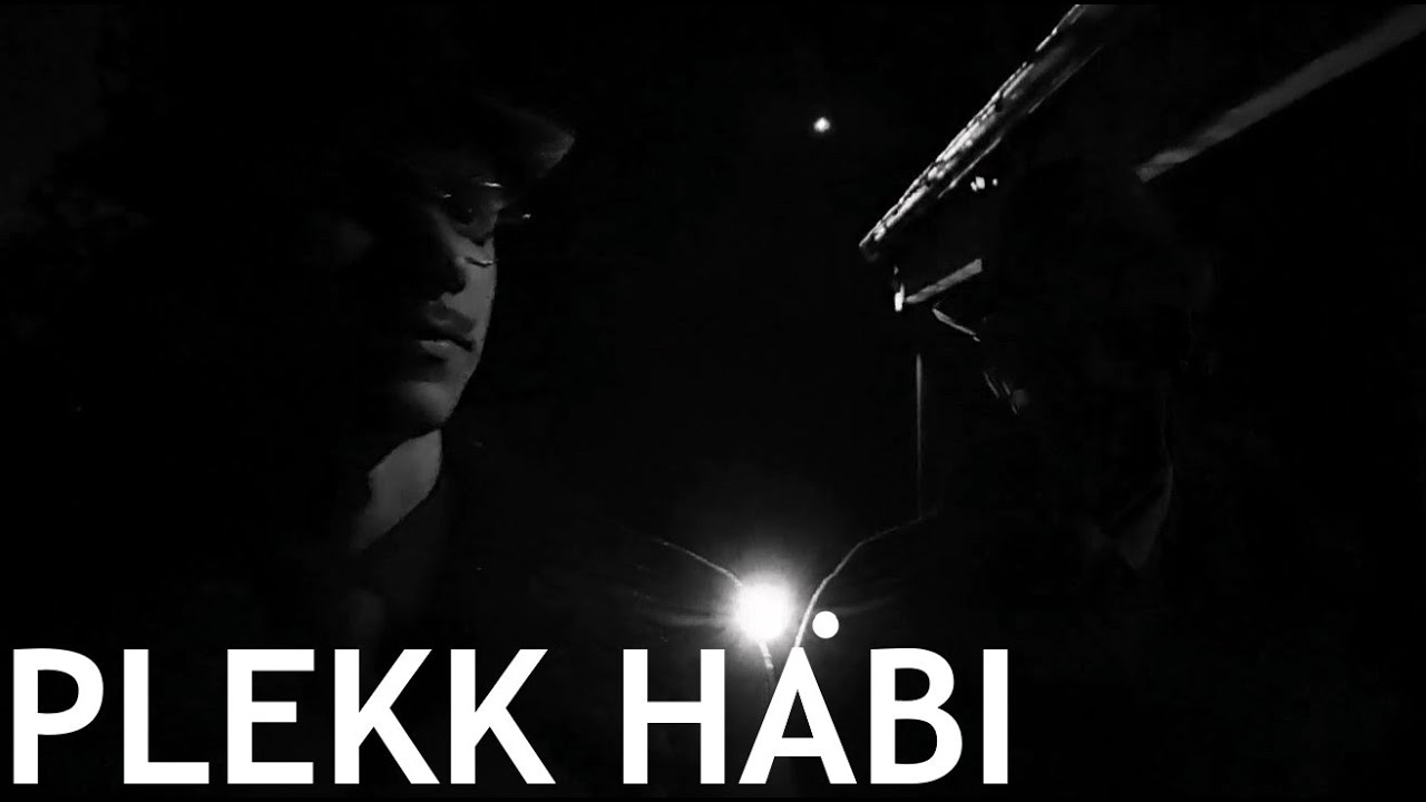 Plekk H&auml;bi (&Uuml;hekaadrifilm)