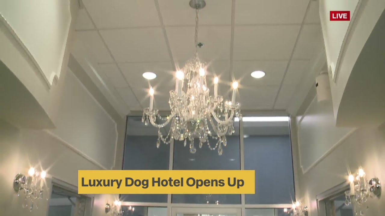 New Luxury dog hotel opens in Overland Park.