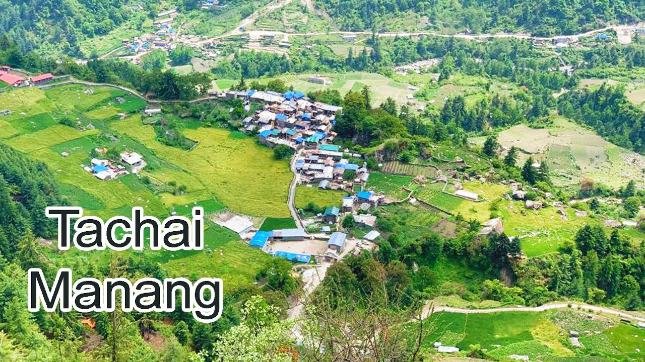 Tachai village Manang - Making Music video  of Tachai Gaule Cheli  ताचै गाँउले चेली Tachai manang