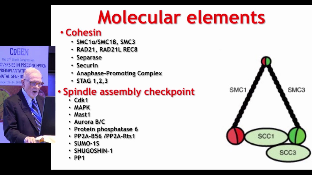 The Origin of Aneuploidy by Eugene Pergament