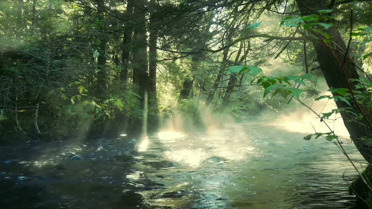 Мирный журчащий ручей | Ленивый утренний туман | Аудиотерапия | 4К UHD | Спокойный и расслабляющий