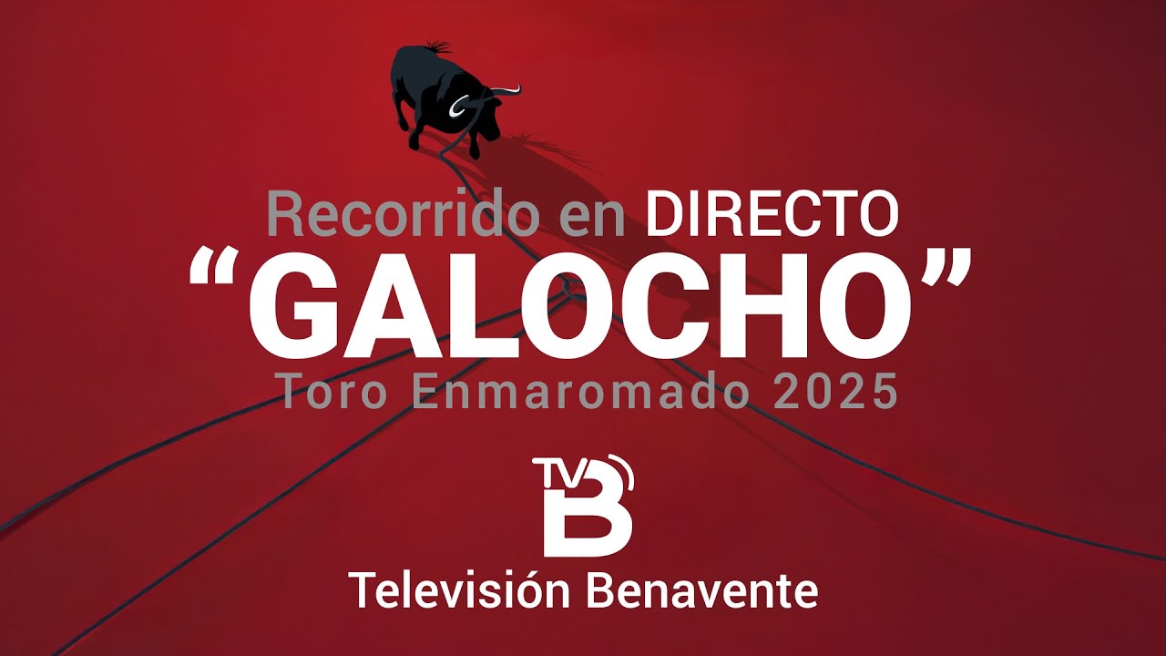 🔴 DIRECTO | 