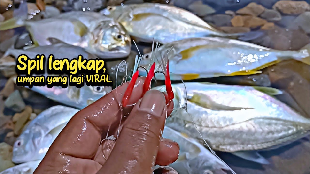 Spil umpan, Sekaligus langsung di buat mancing casting pinggiran pantai selatan, Hasilnya MEMUASKAN
