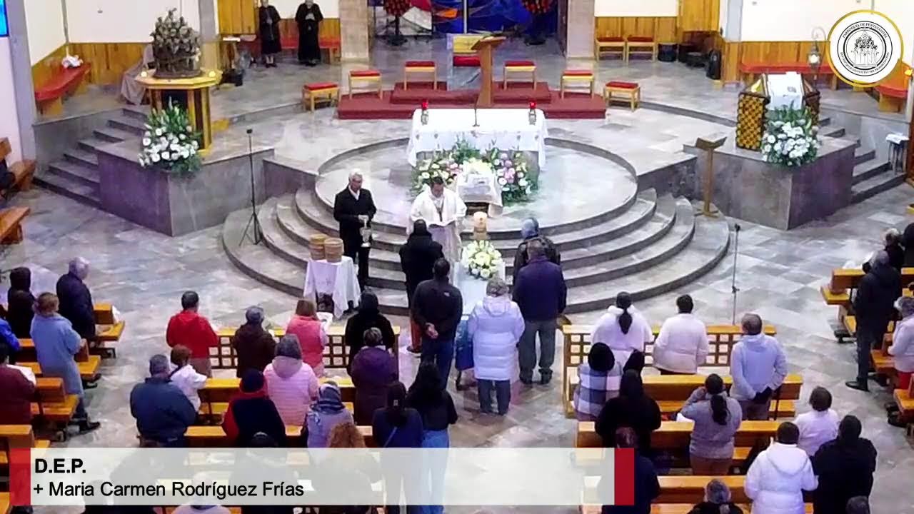 Santa Misa Lunes. Fiesta de la Presentación del Señor.
