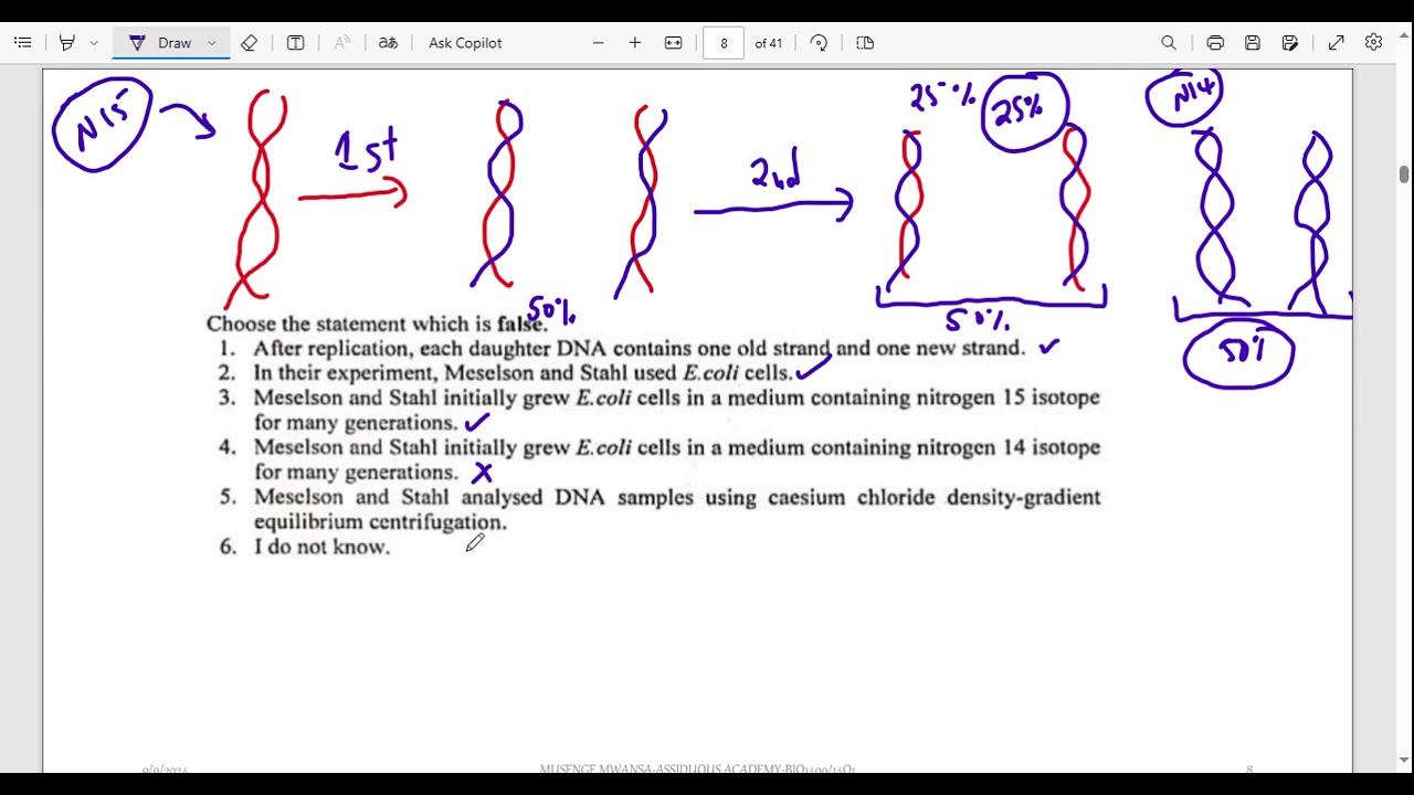 BIO1400-REPLICATION EXAM QUESTIONS