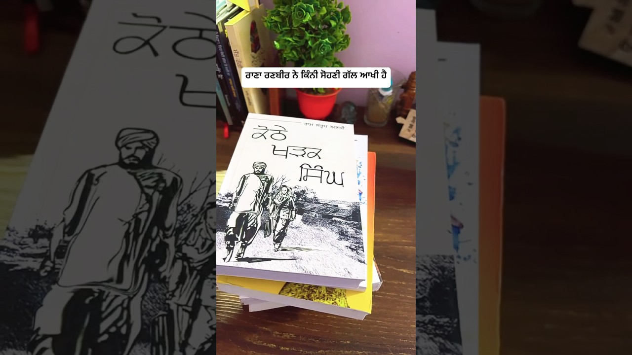 top books in punjabi literature #punjablibrary #punjabiliterature #punjabibooks #punjabinovel #viral