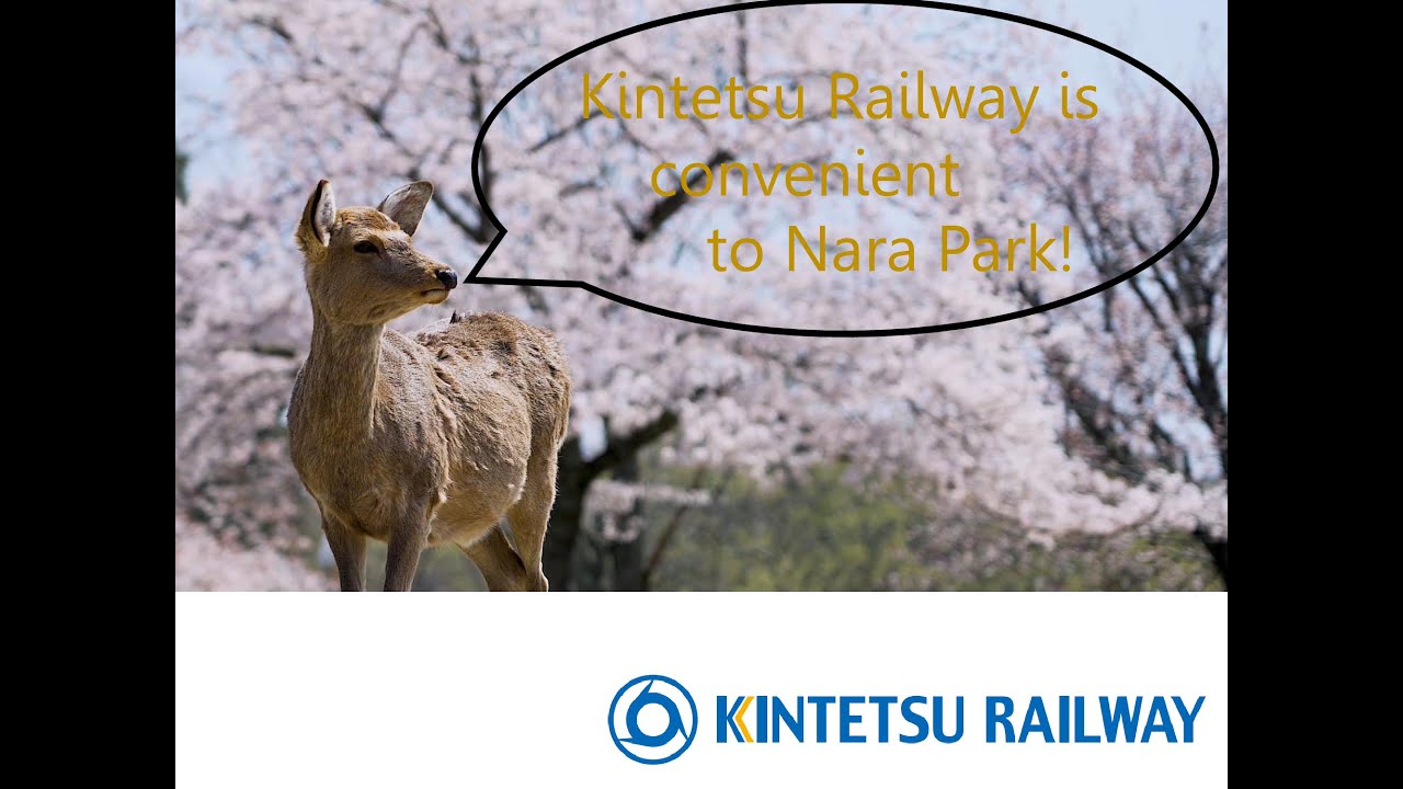 Kintetsu Railway is convenient to Nara Park!