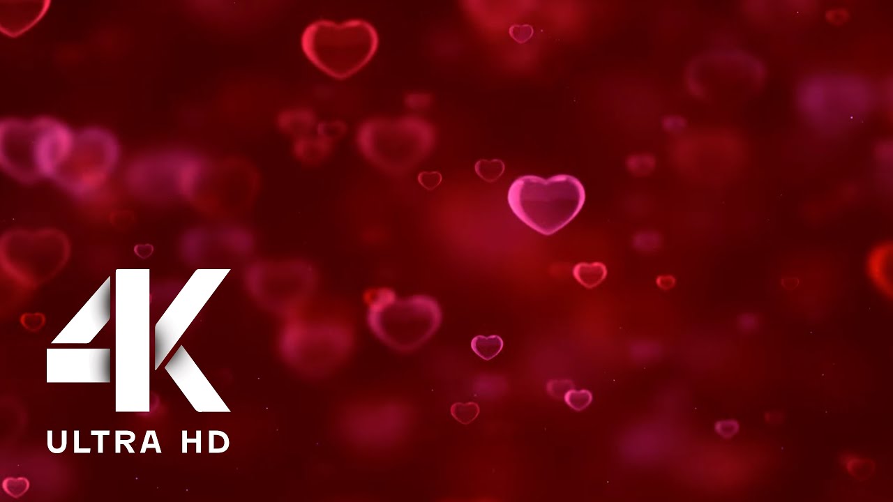 Lovely Hearts Background in 4K  Valentine Screensaver #love