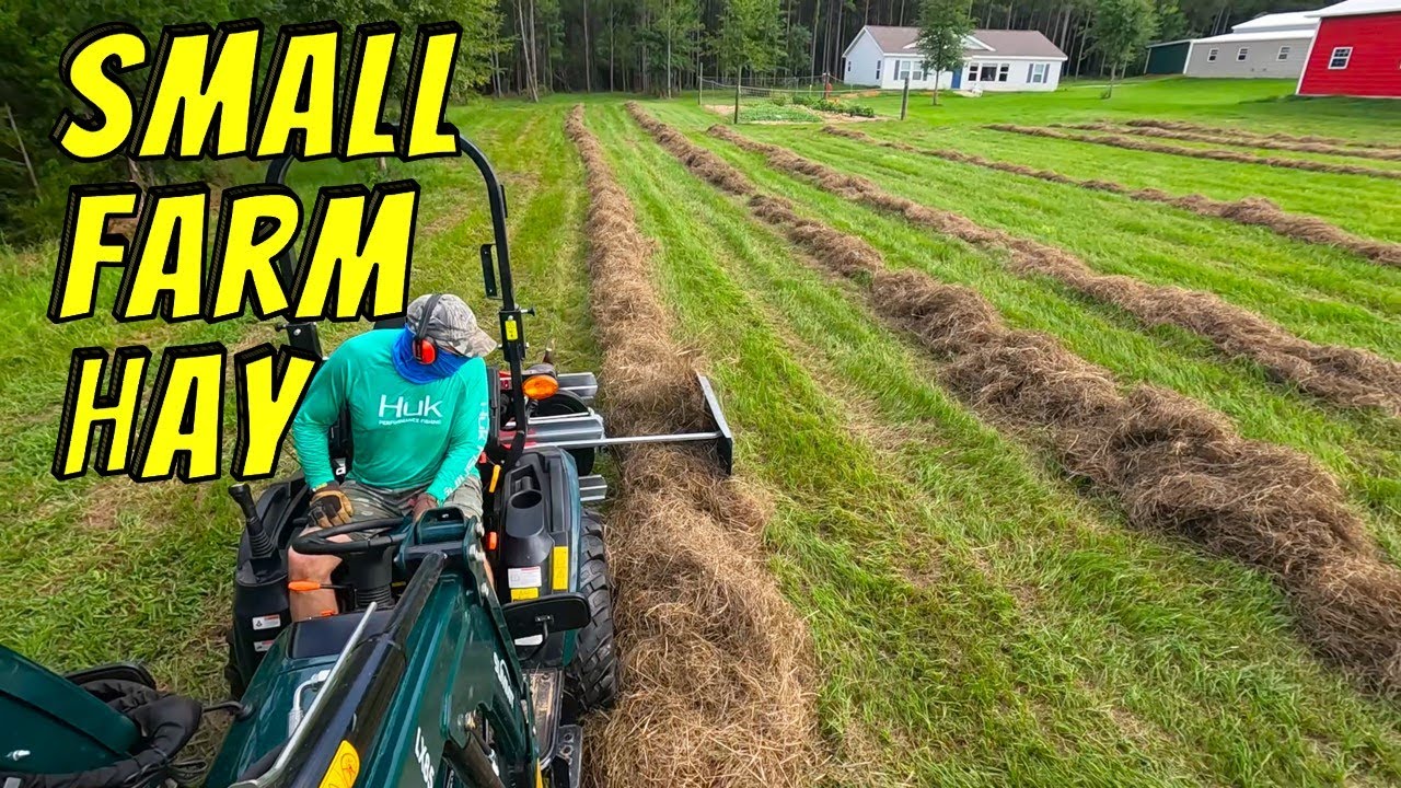 This Way of Raking Hay Is AMAZING!  | IBEX TX80 Belt Rake