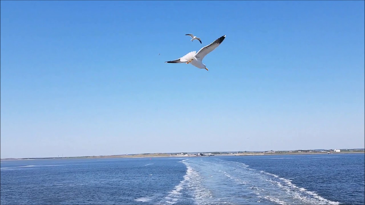 TESO Bootdienst Den Helder Texel