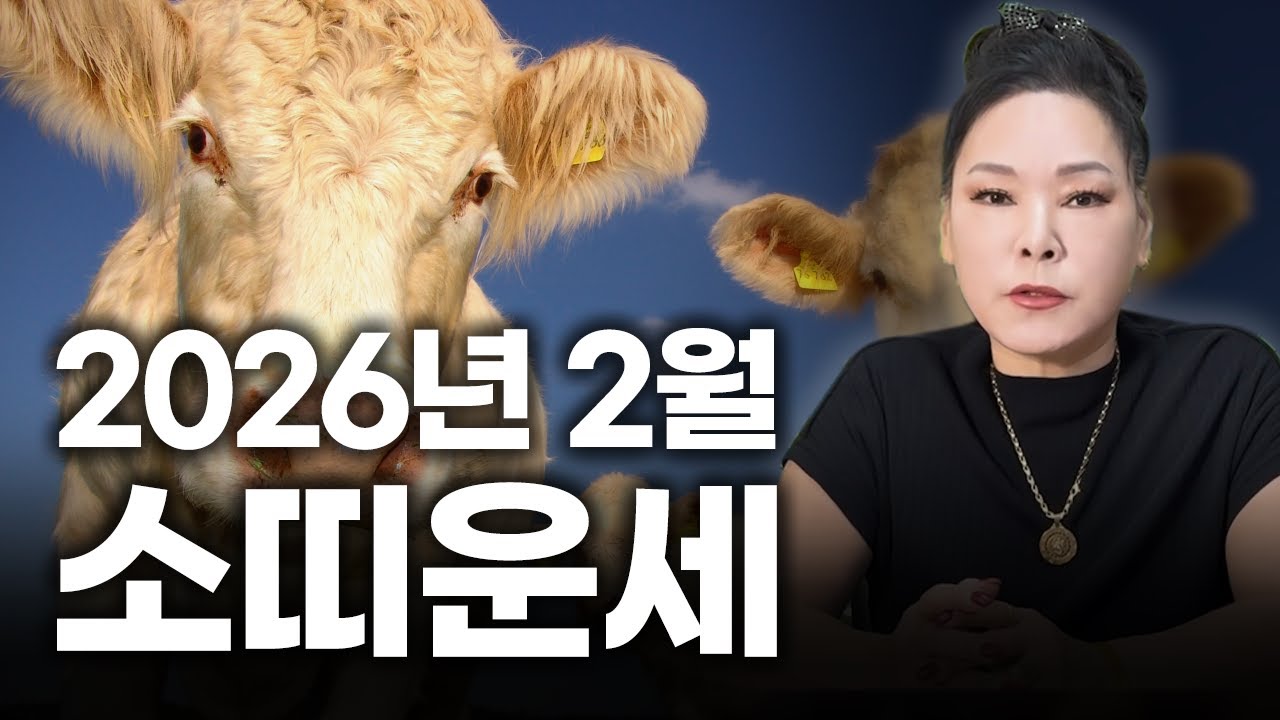 2026년 병오년 양력 2월 소띠 운세 | 97년생 85년생 73년생 61년생