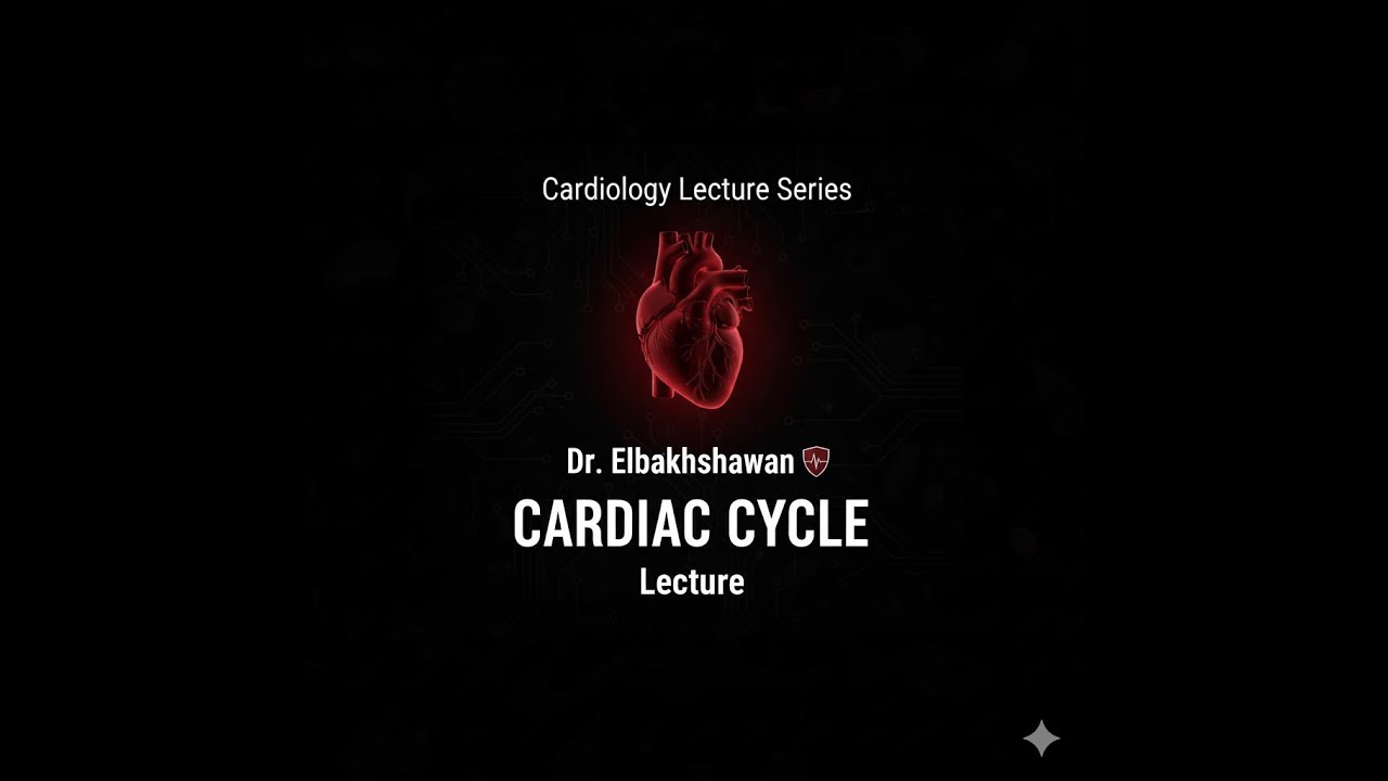 الدورة القلبية (The Cardiac Cycle): شرح مراحل Systole و Diastole وديناميكا الضغط