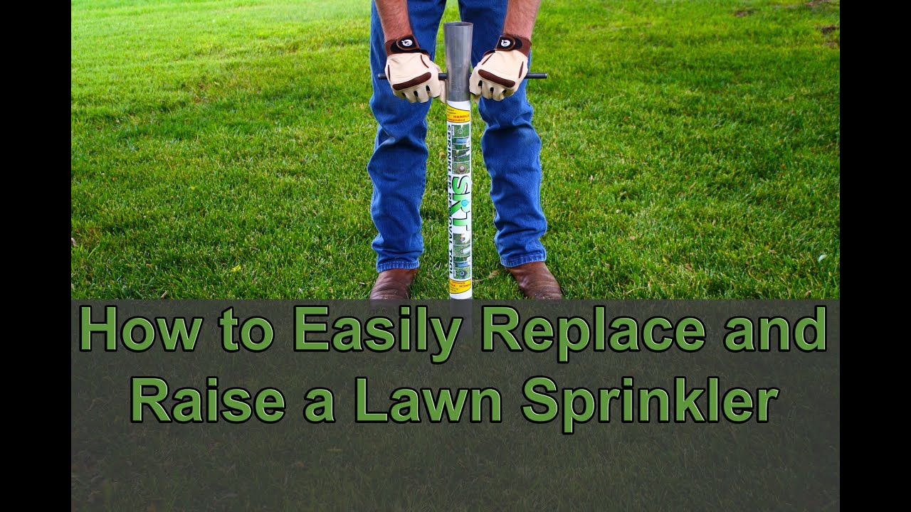 DIY Easily Raise or Replace a Lawn Sprinkler Head without Digging