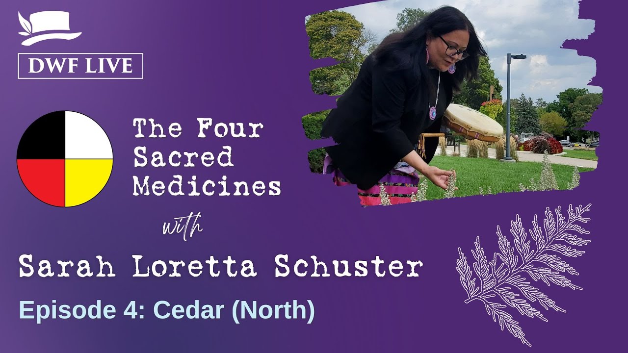 The Four Sacred Medicines: Cedar, North