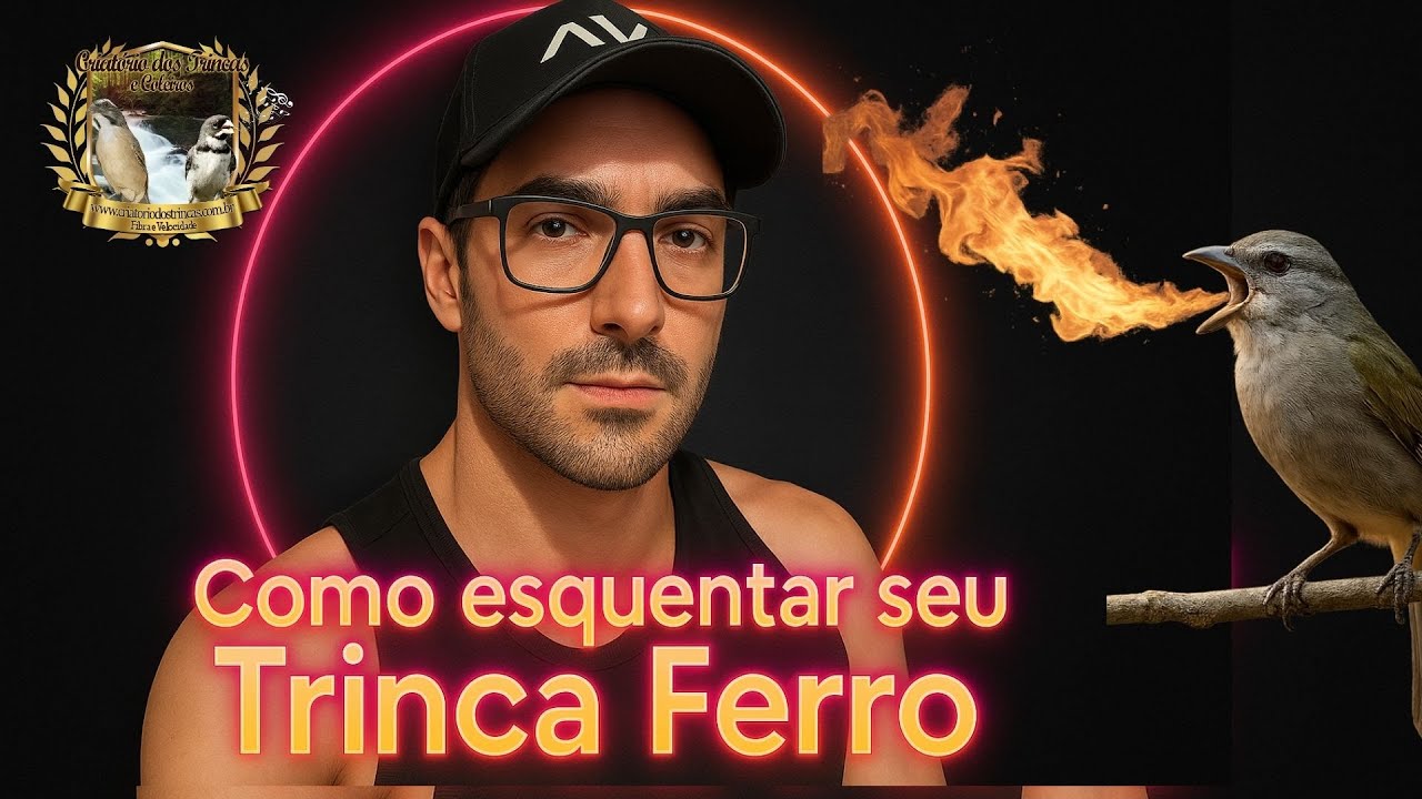 Trinca-Ferro Pronto Pra Temporada? Esse Combo Faz Toda Diferença!