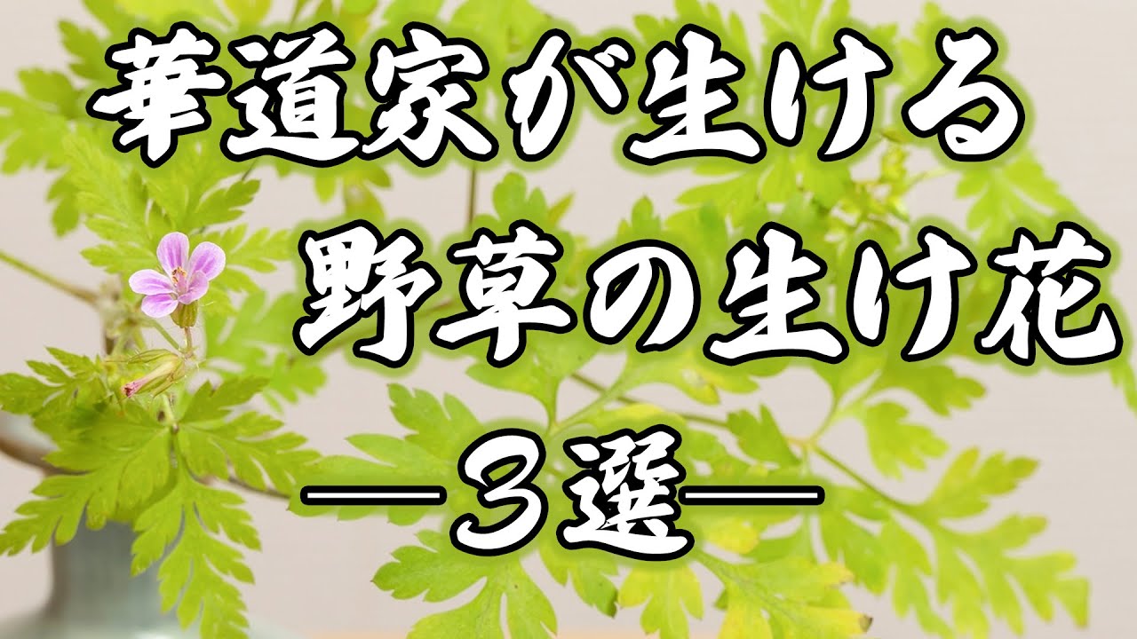 野草に癒される自然的な、いけばな【なげいればな】