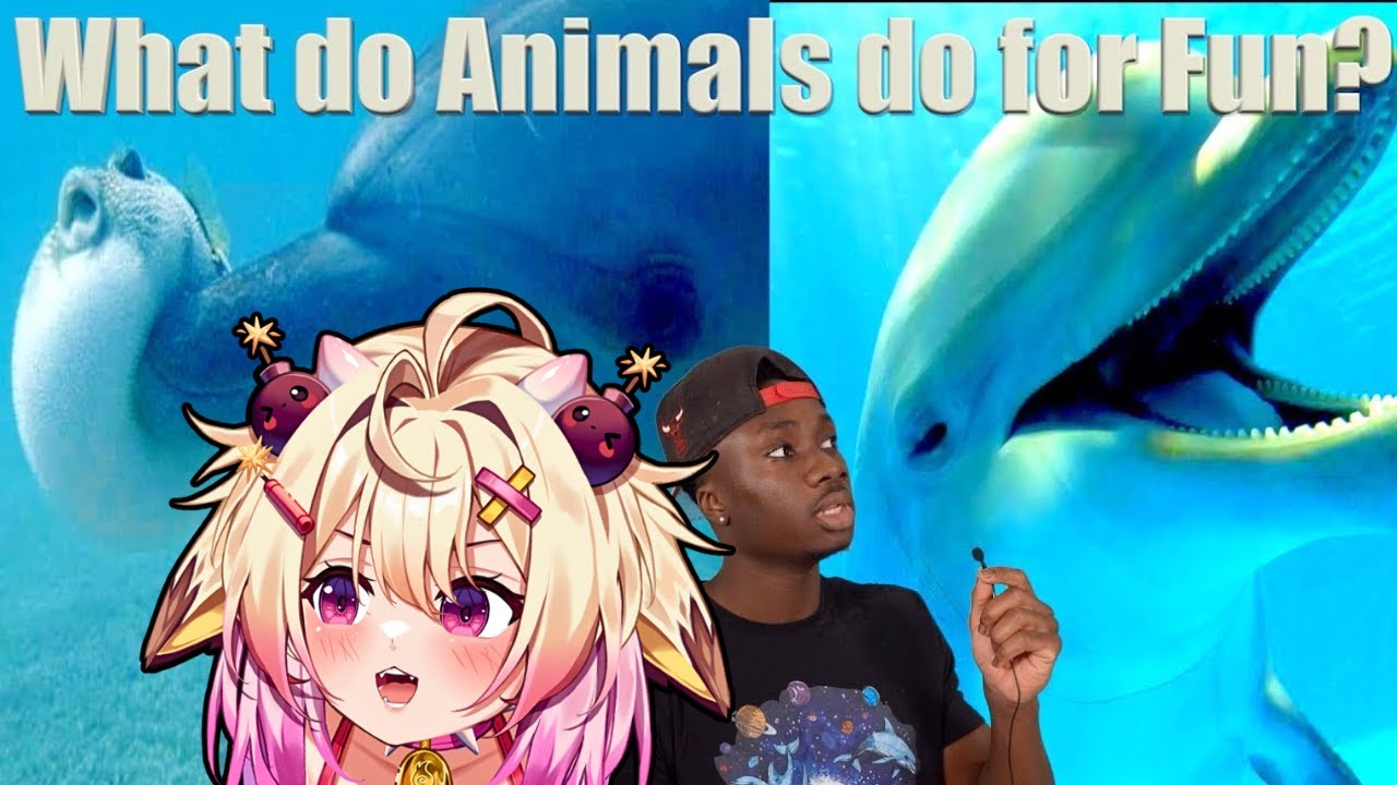 This is so Wholesome!  rosiebellmoo Reacts to Casual Geographic, How Do Wild Animals Have Fun?