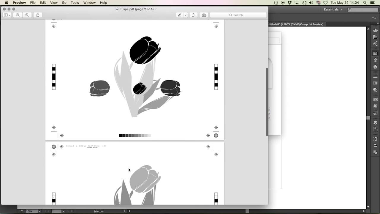 Fechamento de arquivos e separação de cores no Illustrator