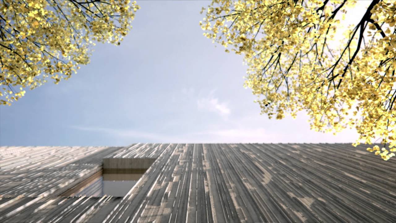 Acts of Architecture: Liquid Light and the Iconography of Silence