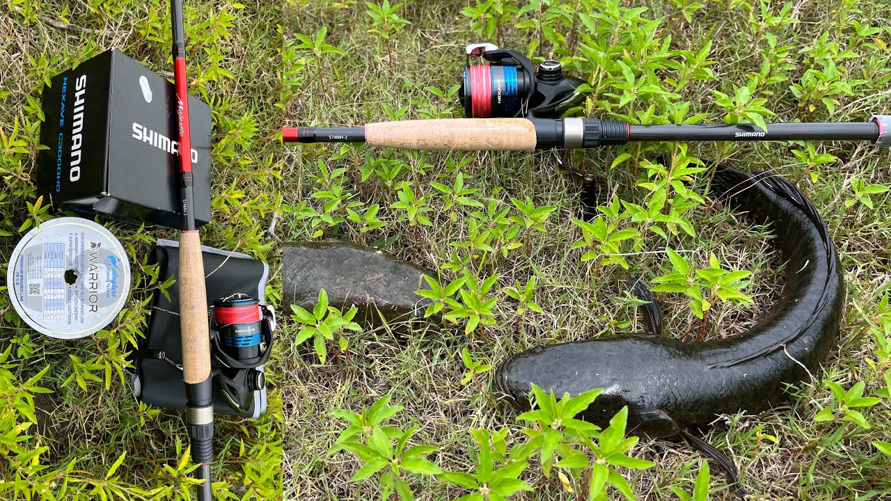 Shimano Majestic Rod | Nexave C3000 HG Reel