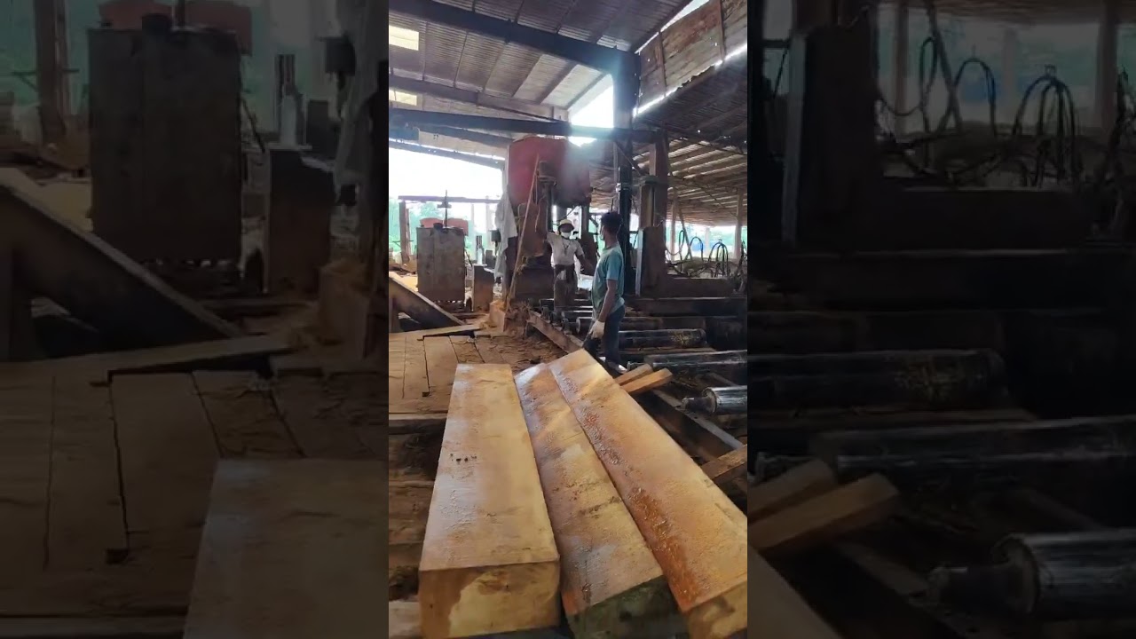 bilinga wood price #bilinga