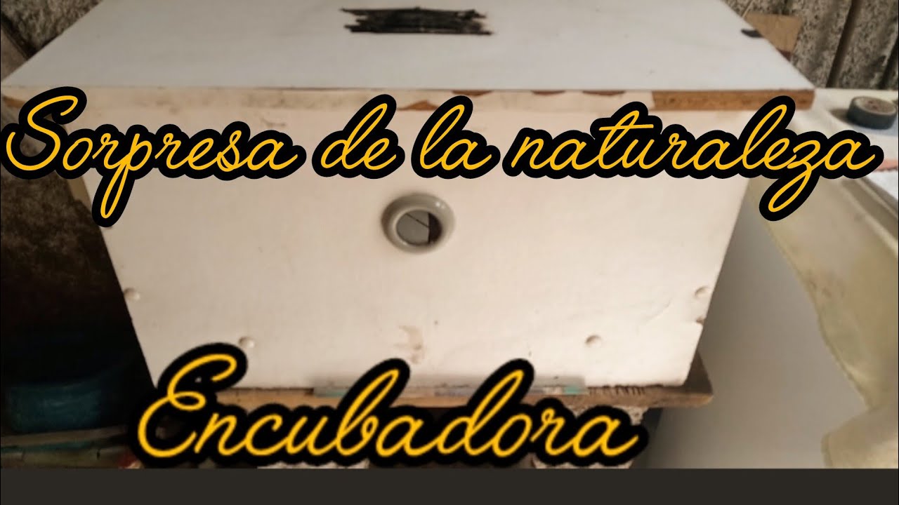 💫💖🏠Un día diferente,/primera vez que voy sola 💖💫