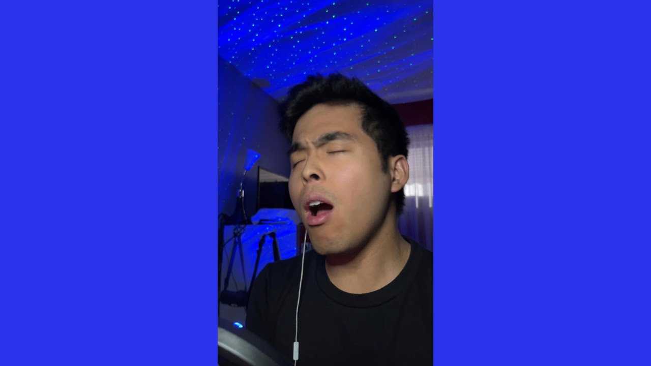 The World We Knew - Frank Sinatra (Cover)