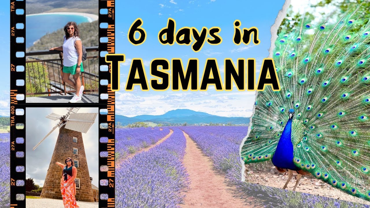 Ultimate Tasmania Travel Itinerary | 6 Days Exploring Tasmania's Best Sights 🇦🇺🚘 #travelvlog