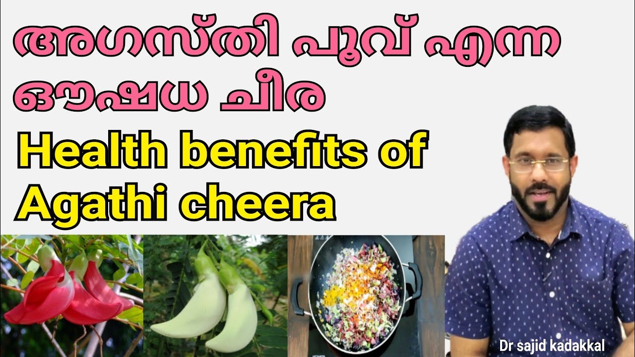 Health benefits of Agathi cheera, അഗസ്തി പൂവ്( അഗത്തി ചീര) യുടെ ഔഷധഗുണൾ അറിയുക