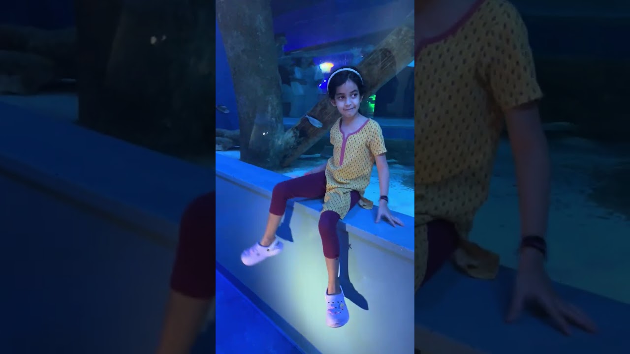 Wonderful experience to visit Aquarium with under water tunnel. Amazed to view some beautiful fishes