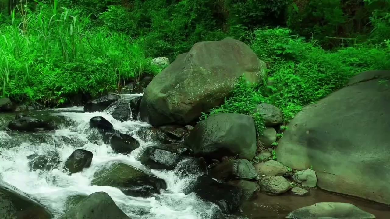 River Sounds 4k Nature Relaxation | Calm Water Flow | White Noise for Deep Sleep