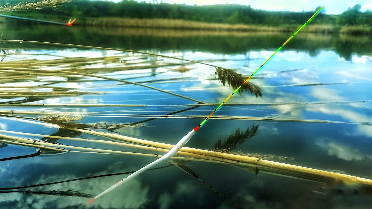 ЗАКИНУЛ УДОЧКУ В МАЛЕНЬКИЙ ПРУД И.. ЭТО КРУПНЯК. КАРАСЬ НА ПОПЛАВОК.