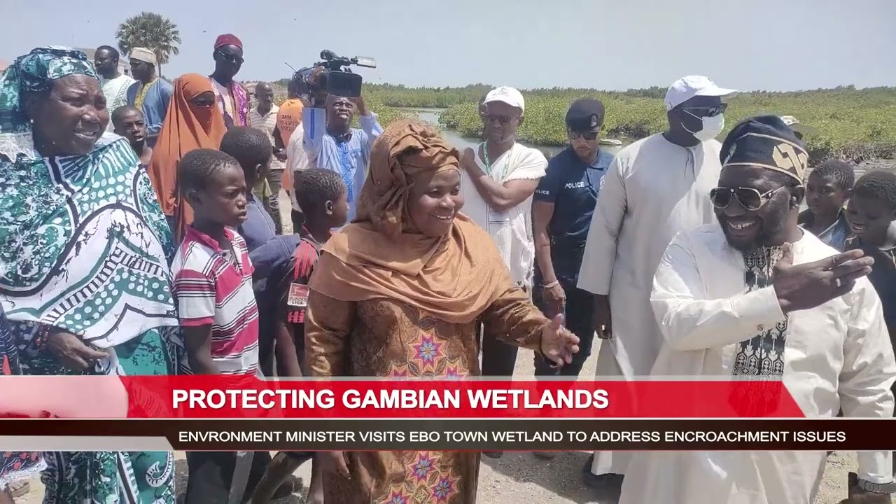 PROTECTING GAMBIAN WETLANDS