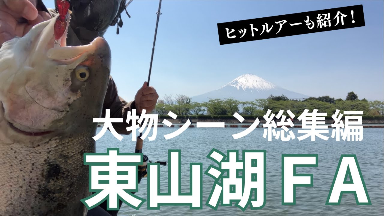 【東山湖FA】大物シーン総集編・イトウに70UP巨大ニジマス【#釣り#管釣り #管理釣り場 #エリアトラウト#東山湖フィッシングエリア#ビースパーク#フォルテ】