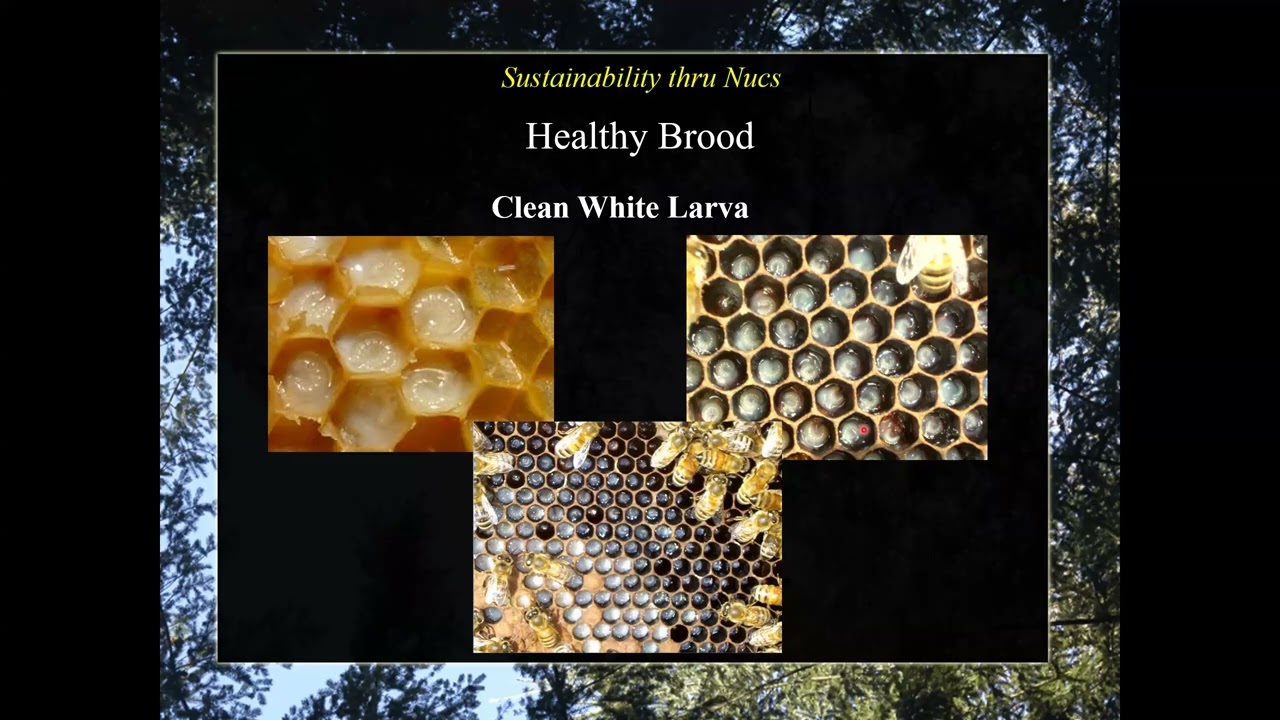 Sustainability thru Nucs