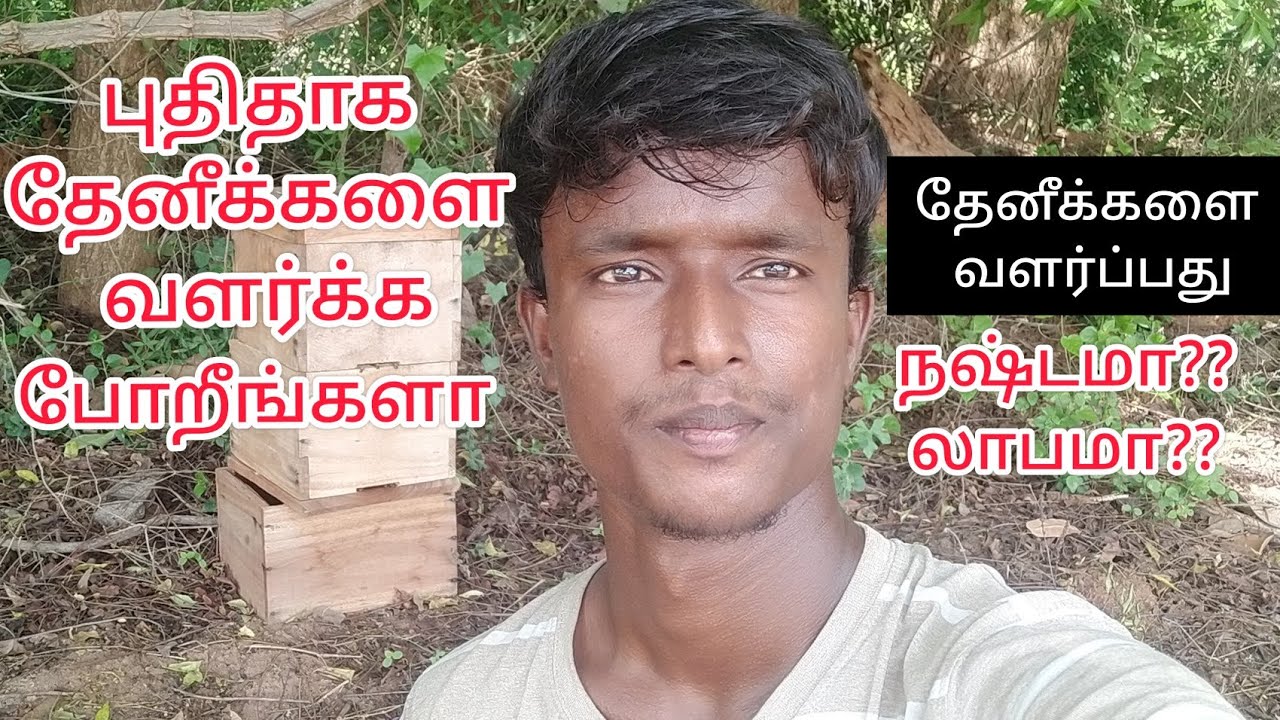 how to start bee keeping/தேனீ வளர்ப்பு லாபமா நஷ்டமா../thenivalarpu/ honeybee in tamil/தேனீ வளர்ப்பு