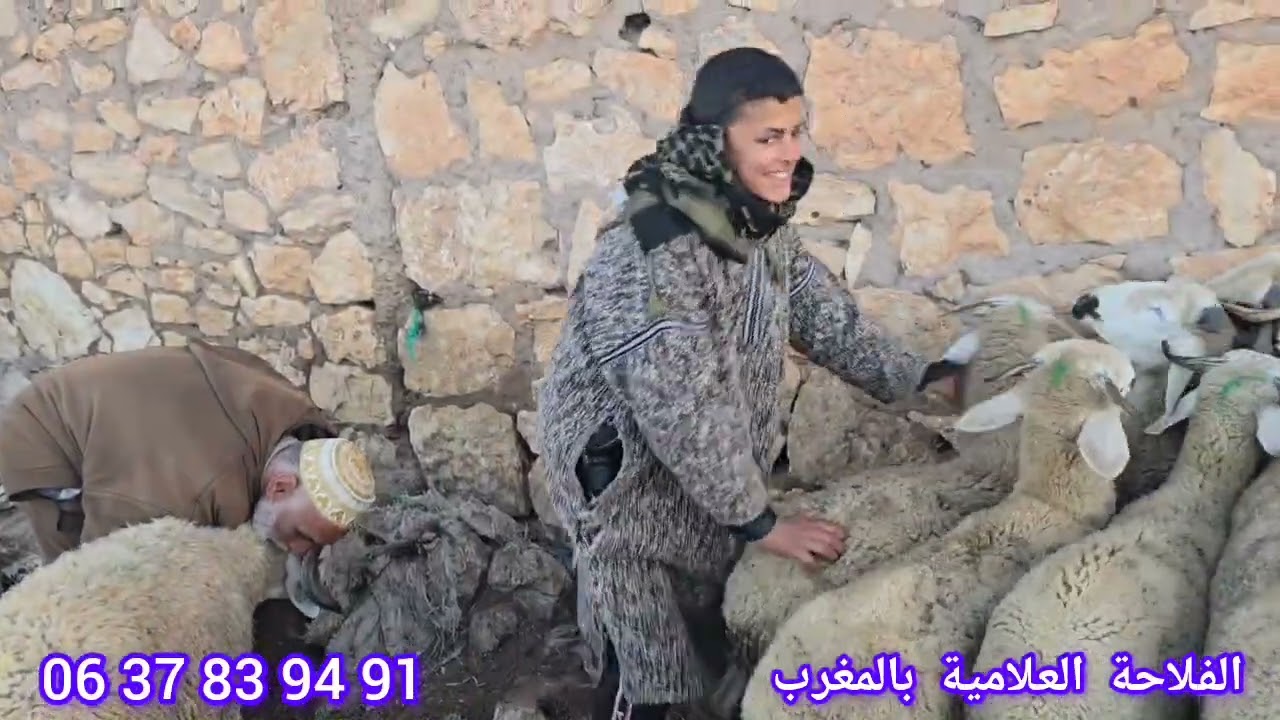 اليوم من سوق البروج بني مسكين بالتاريخ 15/03/2026 