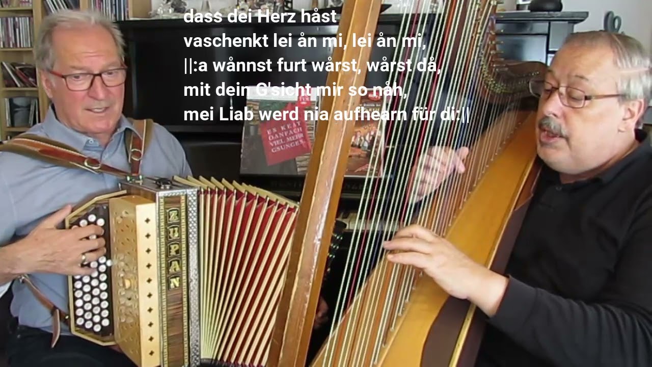 Lei mei anzige Liab - Hedi Preisegger