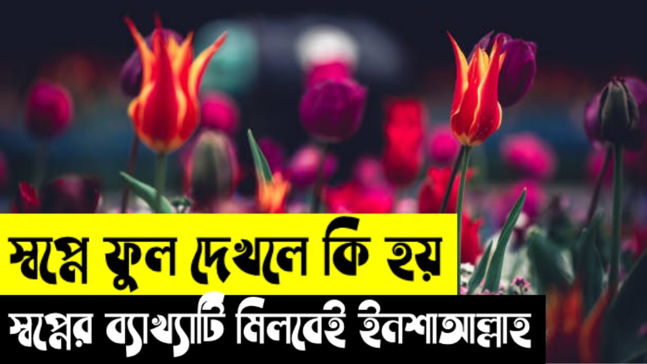 স্বপ্নে গাছে ফুল দেখলে কি হয় | স্বপ্নে ফুল দেখার ইসলামিক ব্যাখ্যা কি | স্বপ্নে ফুল ছিড়লে কি হয়